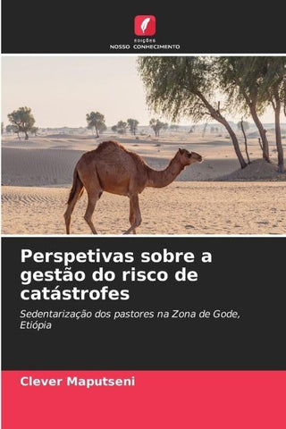 Perspetivas sobre a gestão do risco de catástrofes
