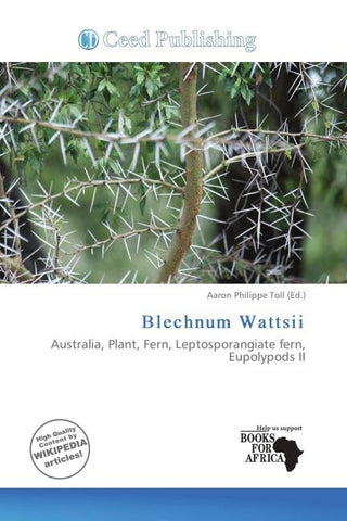 Blechnum Wattsii