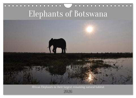 Elephants of Botswana (Wall Calendar 2026 DIN A4 landscape), CALVENDO 12 Month Wall Calendar