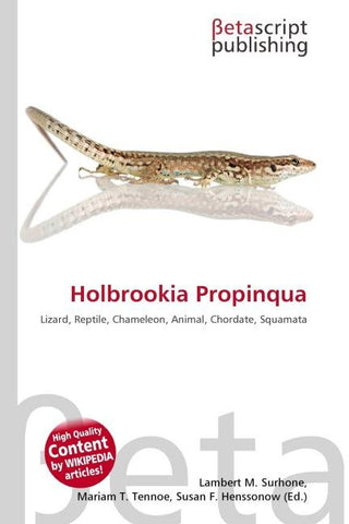 Holbrookia Propinqua