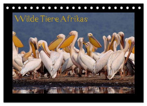 Wilde Tiere Afrikas (Tischkalender 2026 DIN A5 quer), CALVENDO Monatskalender