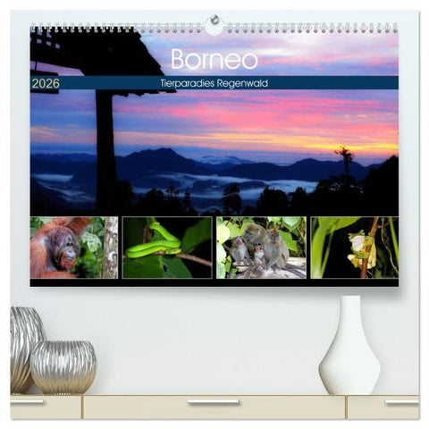 Borneo - Tierparadies Regenwald (hochwertiger Premium Wandkalender 2026 DIN A2 quer), Kunstdruck in Hochglanz