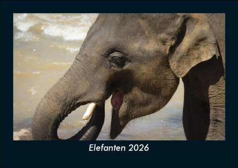 Elefanten 2026 Fotokalender DIN A5