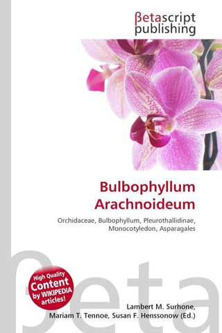 Bulbophyllum Arachnoideum