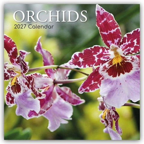 Orchids – Orchideen 2027 – 16-Monatskalender