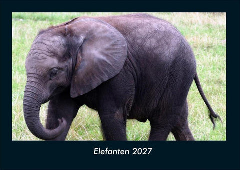 Elefanten 2027 Fotokalender DIN A4