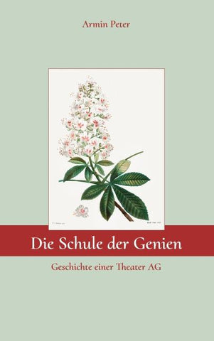 Die Schule der Genien