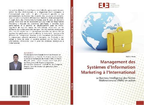 Management des Systèmes d'Information Marketing à l'International