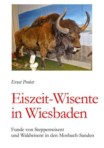 Eiszeit-Wisente in Wiesbaden