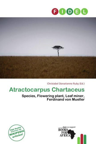 Atractocarpus Chartaceus