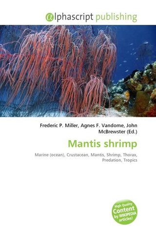 Mantis shrimp