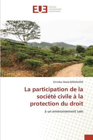 La participation de la société civile à la protection du droit