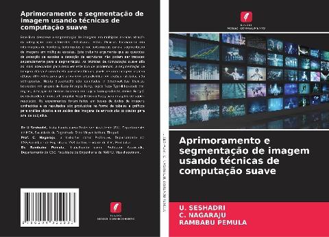 Aprimoramento e segmentação de imagem usando técnicas de computação suave