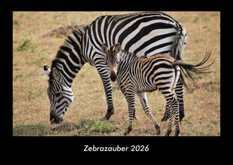 Zebrazauber 2026 Fotokalender DIN A3