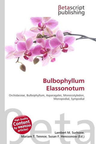 Bulbophyllum Elassonotum
