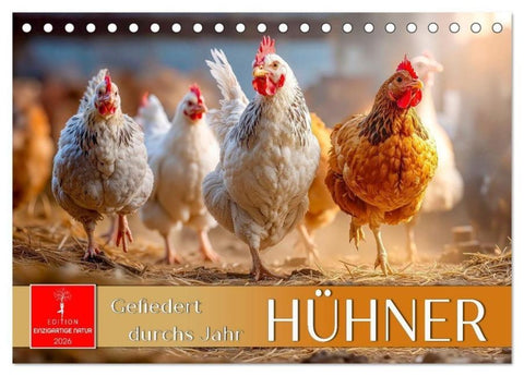 Hühner - gefiedert durchs Jahr (Tischkalender 2026 DIN A5 quer), CALVENDO Monatskalender