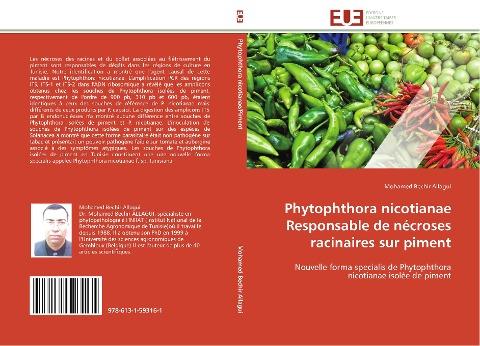Phytophthora nicotianae Responsable de nécroses racinaires sur piment