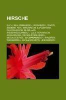 Hirsche