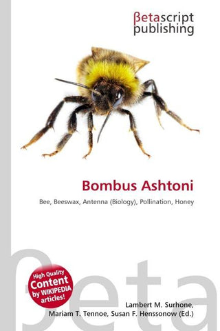 Bombus Ashtoni