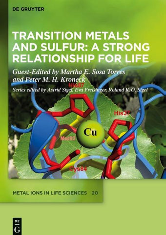 Transition Metals and Sulfur – A Strong Relationship for Life