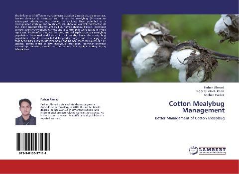 Cotton Mealybug Management