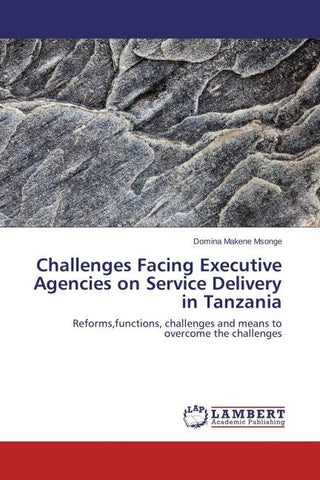 Challenges Facing Executive Agencies on Service Delivery in Tanzania