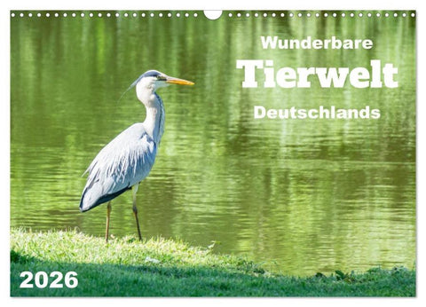 Wunderbare Tierwelt Deutschlands (Wandkalender 2026 DIN A3 quer), CALVENDO Monatskalender