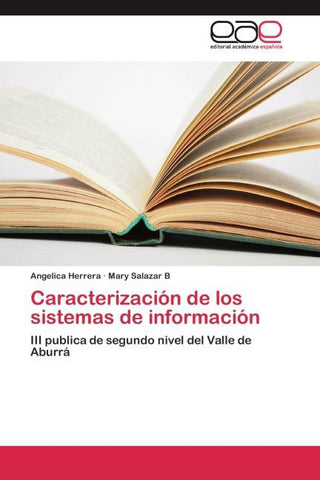 Caracterización de los sistemas de información