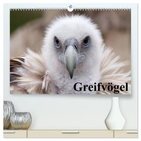 Greifvögel (hochwertiger Premium Wandkalender 2026 DIN A2 quer), Kunstdruck in Hochglanz