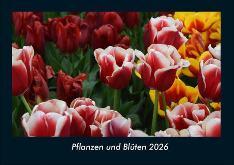 Pflanzen und Blüten 2026 Fotokalender DIN A4