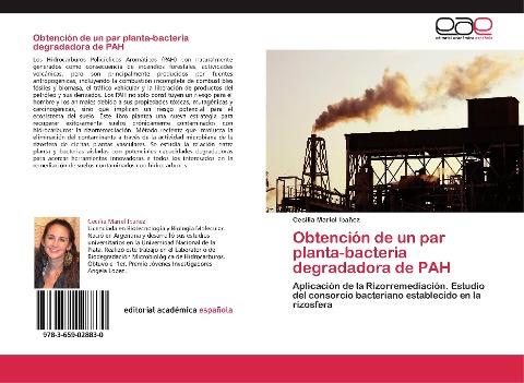 Obtención de un par planta-bacteria degradadora de PAH