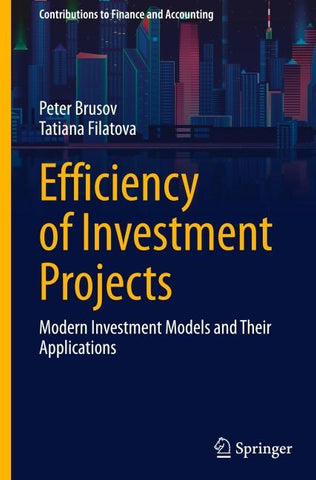 Efficiency of Investment Projects