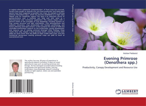 Evening Primrose (Oenothera spp.)
