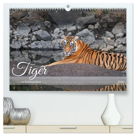 Tiger von Ranthambore (hochwertiger Premium Wandkalender 2026 DIN A2 quer), Kunstdruck in Hochglanz