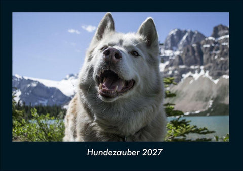 Hundezauber 2027 Fotokalender DIN A4