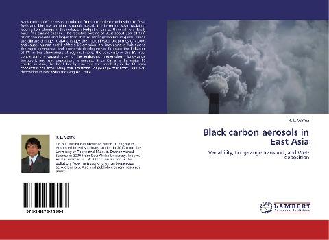Black carbon aerosols in East Asia