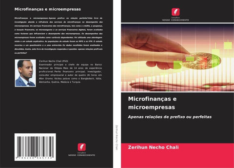 Microfinanças e microempresas
