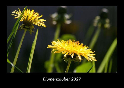 Blumenzauber 2027 Fotokalender DIN A3