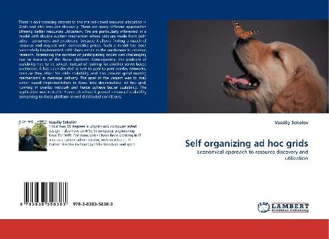 Self organizing ad hoc grids