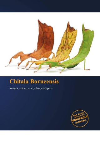 Chitala Borneensis