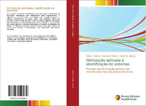 Otimização aplicada a identificação de sistemas