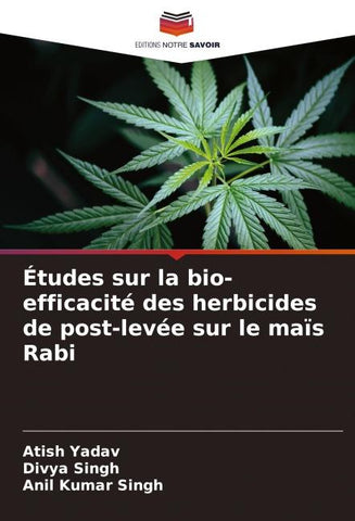 Études sur la bio-efficacité des herbicides de post-levée sur le maïs Rabi