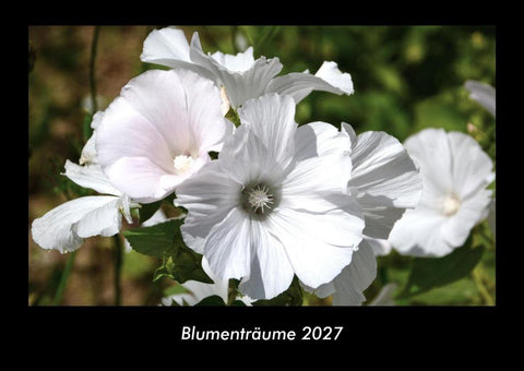 Blumenträume 2027 Fotokalender DIN A3