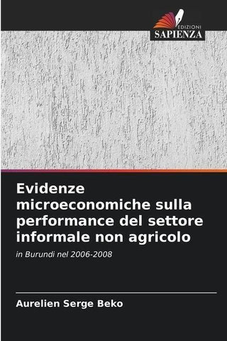 Evidenze microeconomiche sulla performance del settore informale non agricolo