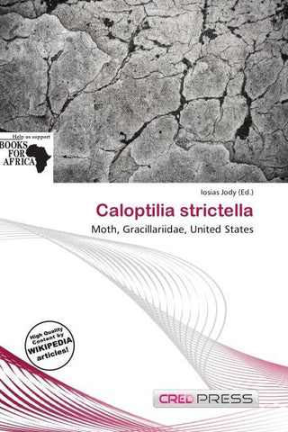 Caloptilia strictella