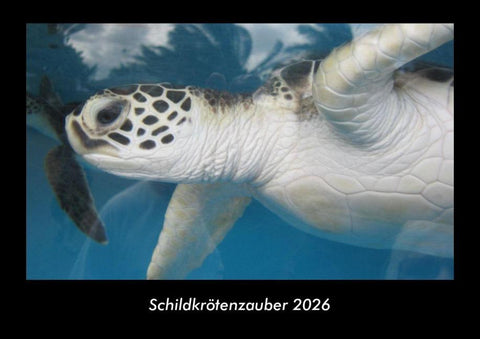 Schildkrötenzauber 2026 Fotokalender DIN A3