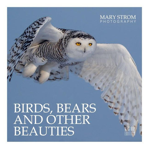 Birds, Bears and other Beauties