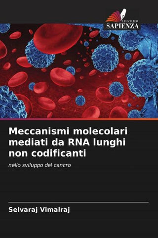 Meccanismi molecolari mediati da RNA lunghi non codificanti