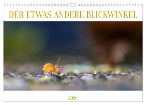 Der etwas andere Blickwinkel (Wandkalender 2026 DIN A3 quer), CALVENDO Monatskalender