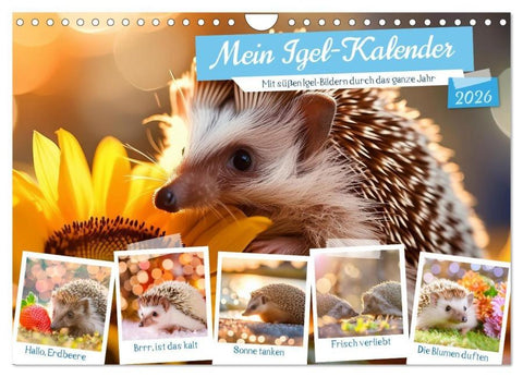 Mein Igel-Kalender (Wandkalender 2026 DIN A4 quer), CALVENDO Monatskalender
